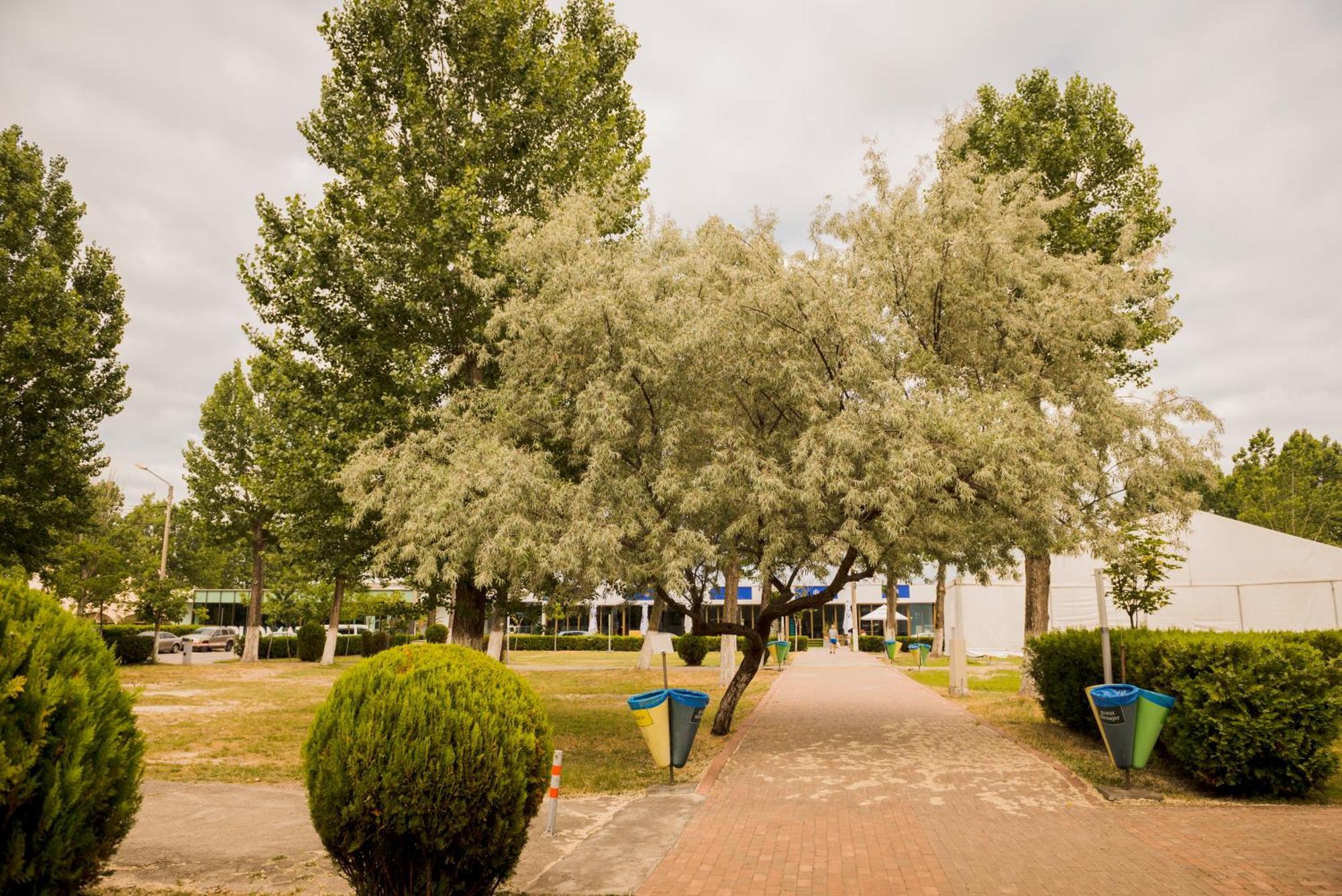 Enigma Resort Mamaia Εξωτερικό φωτογραφία